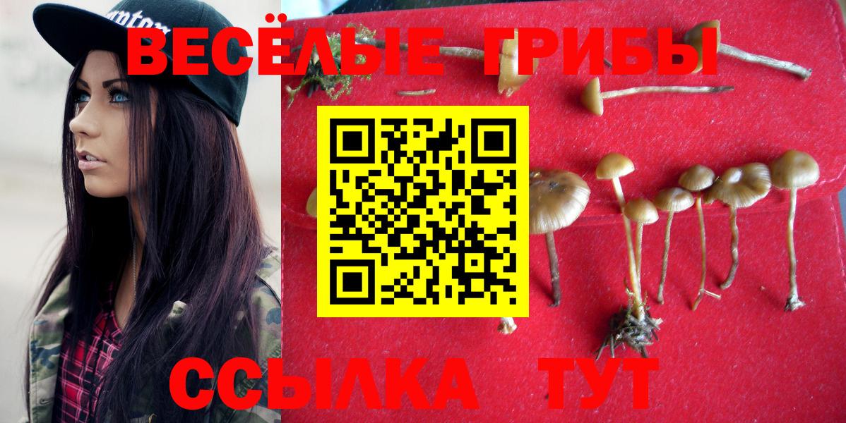 Галлюциногенные грибы Cubensis  Вход с VPN  Псилоцибиновые грибы MAGIC MUSHROOMS  Артём 